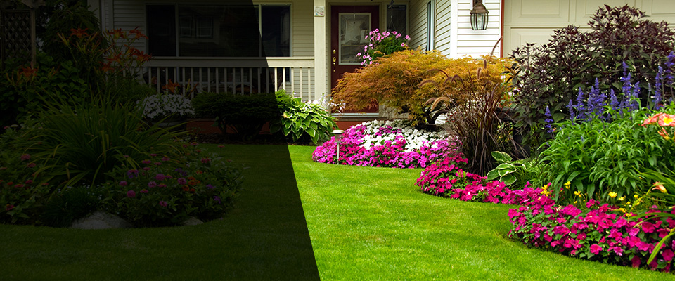 Olalla Landscapers