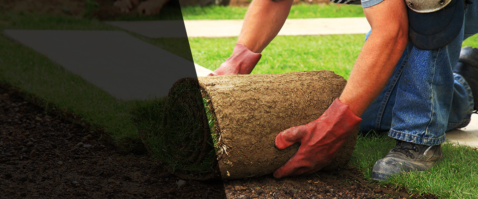 Olalla Landscapers